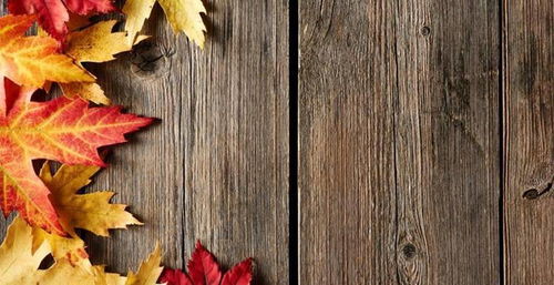 獨(dú)立站聯(lián)盟營(yíng)銷(xiāo)流程