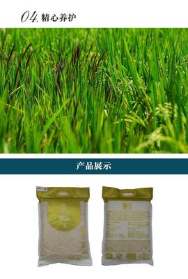 楚娃富硒米 天然有機硒，健康養生新選擇