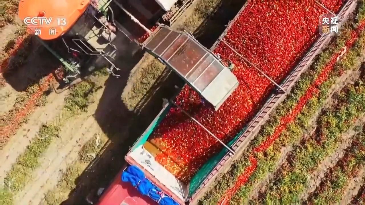 深耕科技沃土 培植智慧農業——有機稻谷種植研發之路