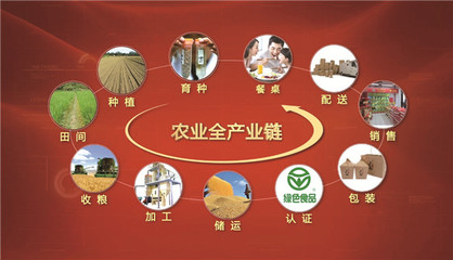 東方糧倉 有機稻谷種植研發領軍者，榮膺農業產業化國家重點龍頭企業
