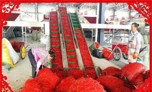 農村創業新機遇 干好這幾個農副產品加工項目，不愁沒錢賺