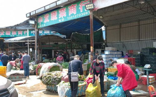 武漢解封首日 白沙洲農副產品大市場車流激增 供應穩定