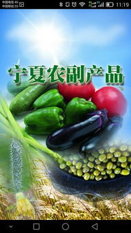 寧夏農(nóng)副產(chǎn)品“下載”指南 特色、渠道與品牌數(shù)字化之路