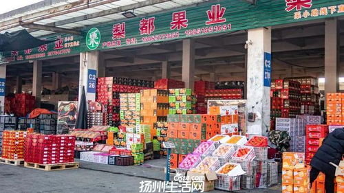 658畝大型商業(yè)地塊亮相，揚(yáng)州這一區(qū)域展現(xiàn)農(nóng)副產(chǎn)品流通新野心